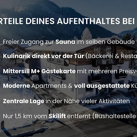 Ours Living Hohe Tauern - Inkl Sauna Apartment Hollersbach im Pinzgau